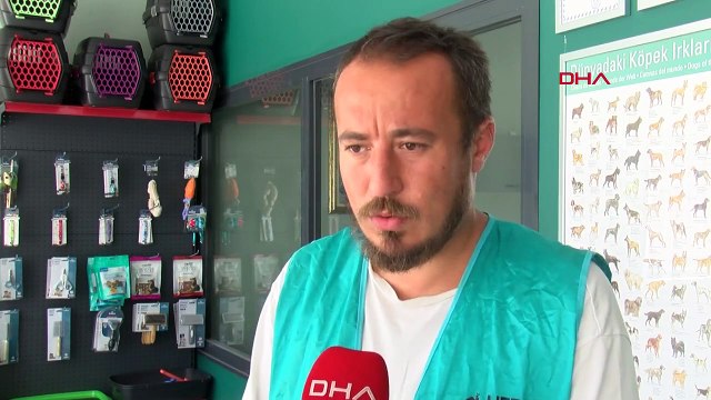 6 CHIENS LAISSÉS À MORT DANS UNE FERME FERMÉE