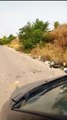Andria: tanti rifiuti abbandonati vicino agli ulivi che producono olio. Chi sono gli idioti che stanno avvelenando il loro territorio?