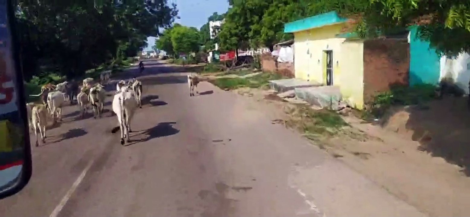 पहले चाकू से गोदा, फिर फरसे से वार कर उतारा मौत की घाट