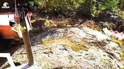 30 Moments When The Lynx Fights And Devours Everything That Moves   Animal Fight