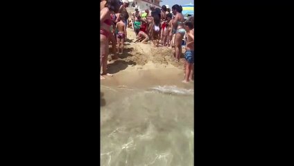 Tra San Lorenzo e Sampieri: ecco i nidi di caretta caretta