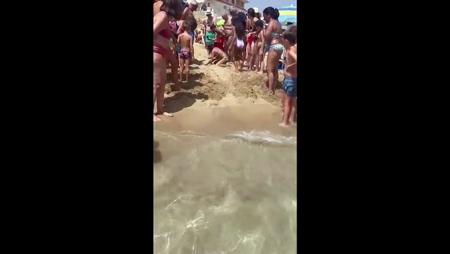 Tra San Lorenzo e Sampieri: ecco i nidi di caretta caretta