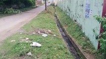 आरके नगर में सफाई व्यवस्था नहीं, सड़क पर मवेशियों का कब्जा, एक भी डस्टबिन नहीं, खुली जगह में लोगों कचरा फेंकना मजबूरी