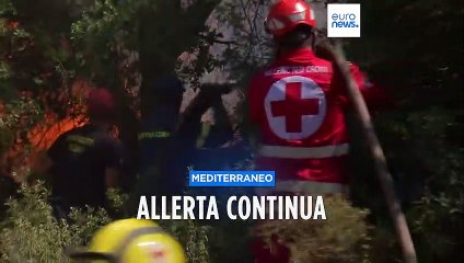 Dopo gli incendi in Grecia e Algeria, restano lo shock e il lutto