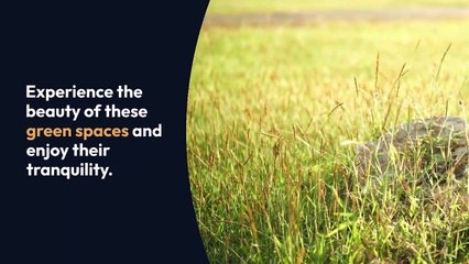 Facts About Fc barcelona Revealed