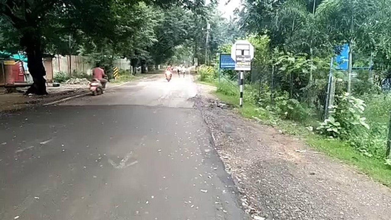 रन फॉर टाइगर मैराथन पर दौड़े युवा