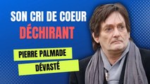 Pierre Palmade : son cri du coeur déchirant suite à l'accident tragique