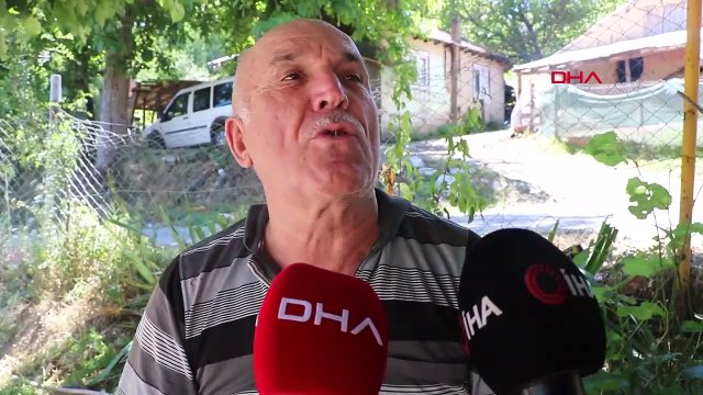 Bolu'daki gizemli kazıda köylülerden Hazine var iddiası: Yıllar önce lahit mezar çıkardılar
