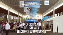 Maximilian Krah choisi tête de liste du parti d'extrême droite AfD aux élections européennes de 2024