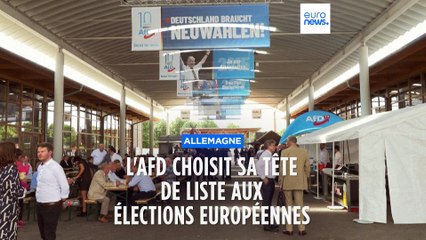 Maximilian Krah choisi tête de liste du parti d'extrême droite AfD aux élections européennes de 2024