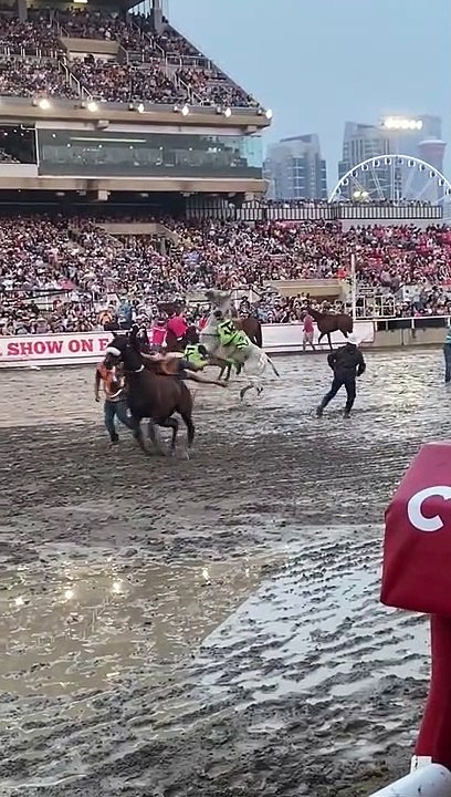 Incroyable monture de chevaux au relais du Stampede de Calgary