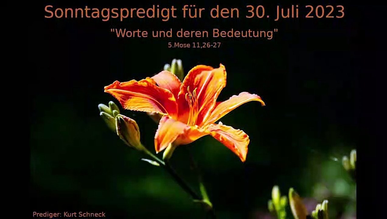 Sonntagspredigt für den 30. Juli 2023