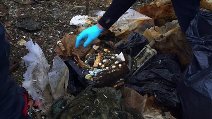 Observations au 65e parallèle sud Bande-annonce (EN)