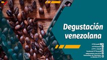 A Todo Motor por Venezuela | II Encuentro Internacional de Café de Especialidad Venezolano