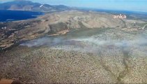 Çeşme'de Ormanlık Alanda Çıkan Yangın Kontrol Altına Alındı