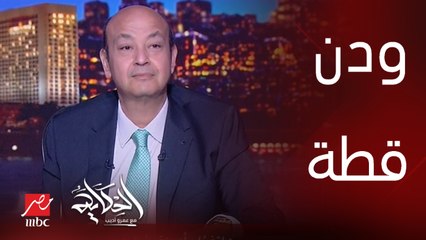 ودن قطة.. جدل بين أمينة شلباية وعمرو اديب حول اتيكيت أكل الاومليت