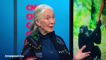 Amanpour & Co. - June 30, 2023