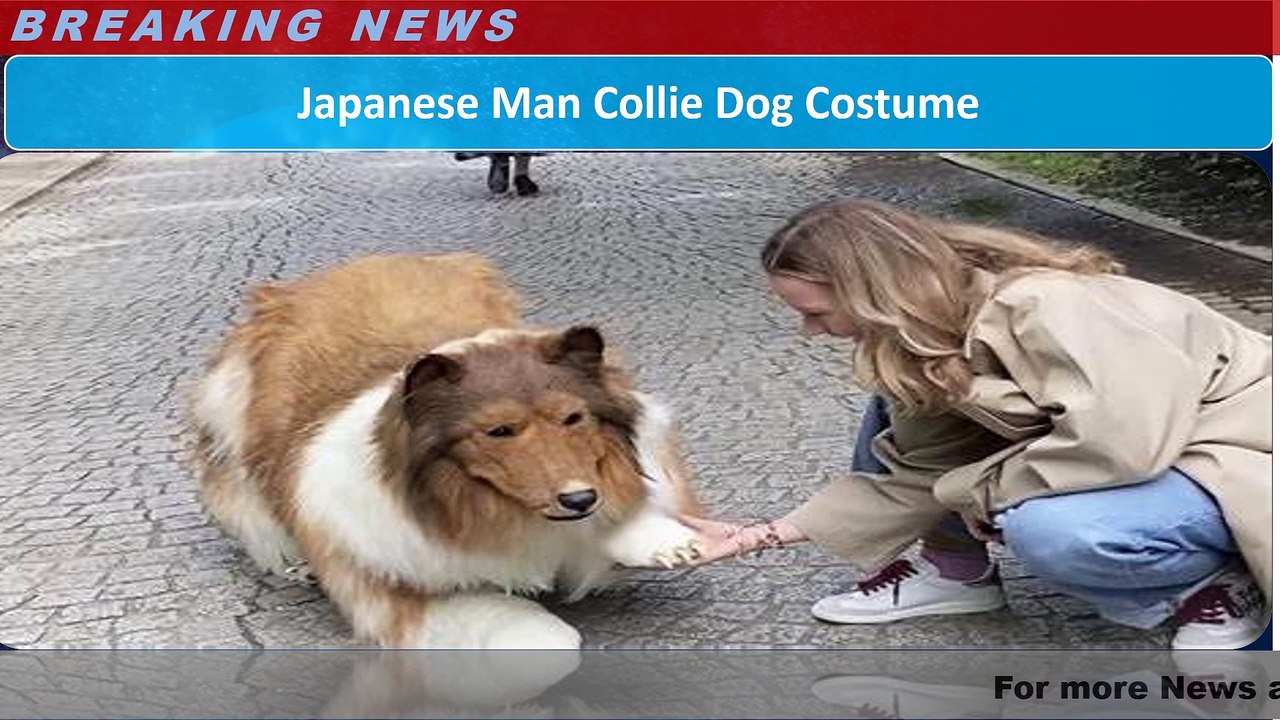 Japanese Man Collie Dog Costume