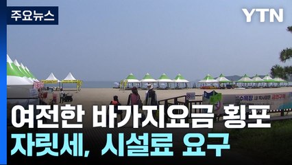 "개인 돗자리도 자릿세 2만 원"...해수욕장 바가지요금 횡포 / YTN