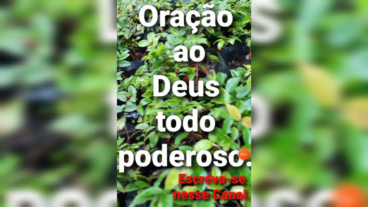 Oração ao Deus todo poderoso.