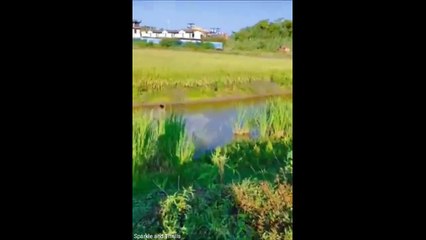 Laughing Gas: Hilarious People Fails and Pranks