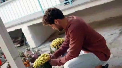 Ada Masali El Cuento de la Isla Capitulo 80 - Audio Español