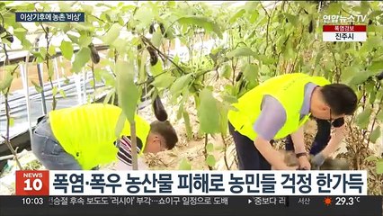 '폭우·폭염' 널뛰는 기후…농민들 시름 깊어