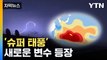[자막뉴스] 무섭게 치솟는 태평양 수온...대비 '시급' / YTN