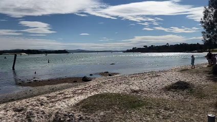 Discover the Stunning Naru Beach at Swansea Channel 🌊