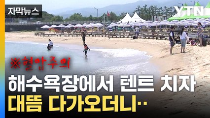 [자막뉴스] "만 원 생선도 회 뜨면 달라지잖아요"...요즘 해수욕장 횡포 / YTN