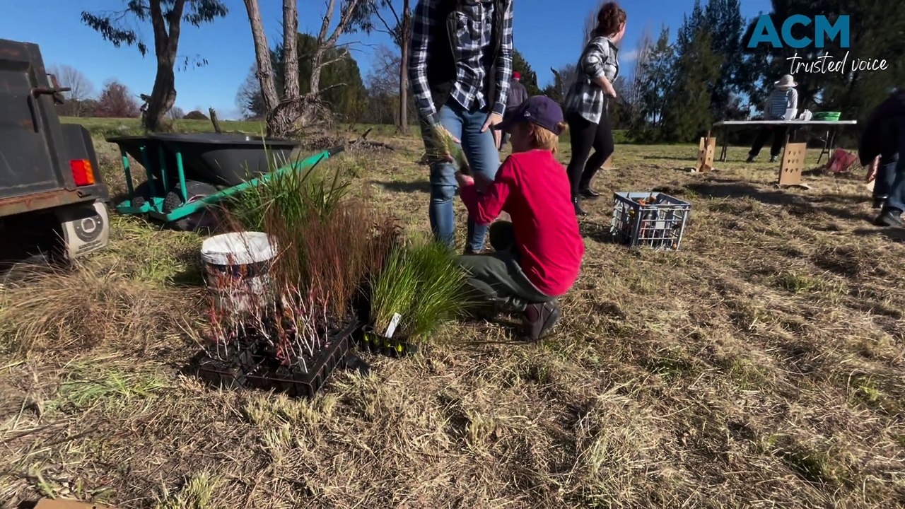 Bathurst community tree planting day