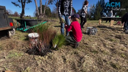 Bathurst community tree planting day