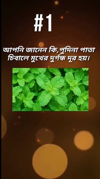 Top 4 বাংলা কুইজ Health Tips Facts Learning Time BD