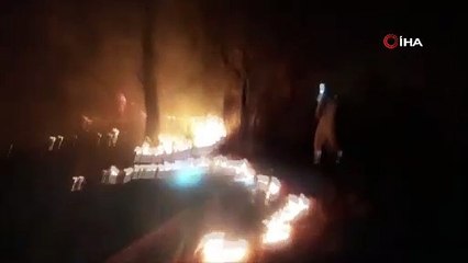 Adana'daki orman yangını kontrol altına alındı