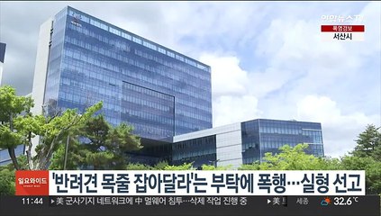 '반려견 목줄 잡아달라'는 부탁에 폭행…실형 선고