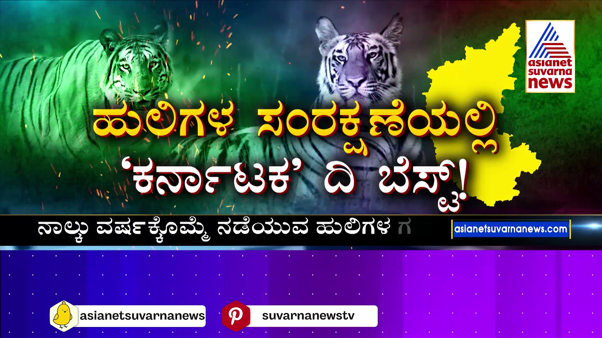 ಹುಲಿಗಳ ಸಂರಕ್ಷಣೆಯಲ್ಲಿ ‘ಕರ್ನಾಟಕ’ ದಿ ಬೆಸ್ಟ್‌: ಮಧ್ಯಪ್ರದೇಶ ಫಸ್ಟ್‌.. ಕರ್ನಾಟಕಕ್ಕೆ 2ನೇ ಸ್ಥಾನ !