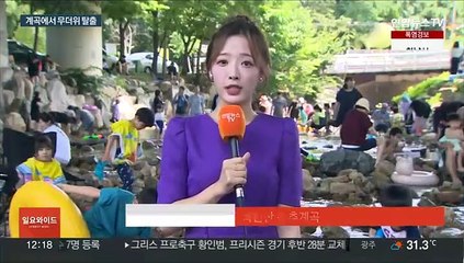 시원한 도심 피서지 인기…계곡에서 무더위 날려요