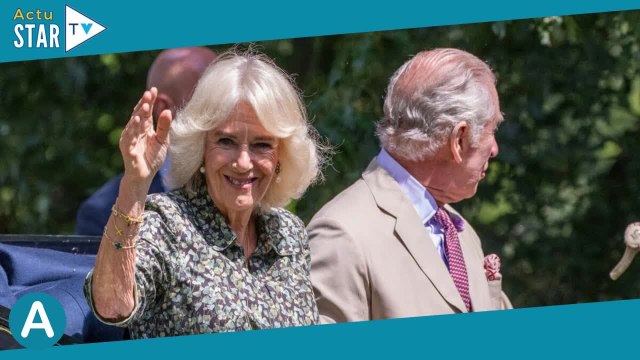 Ça ressemble beaucoup à... : Charles III et Camilla en plein fou rire devant une tourte insolite,