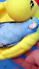 No Thoughts, Just Float