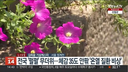 [날씨] 가마솥더위 속 곳곳 소나기…밤에는 열대야 기승