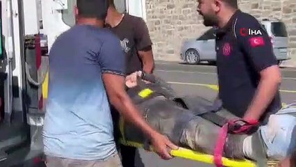 Son Dakika! Kars'ta yolcu otobüsü viyadükten düştü! Çok sayıda ölü ve yaralı var