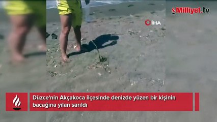 Denizde dehşet! Yüzerken bacağına dolanan yılan tarafından ısırıldı