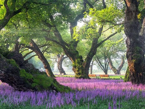 Wolfgang Amadeus MozartPiano Sonata No.12 in F-Major, K. 332 II. AdagioREMIX-SYNT VERSION