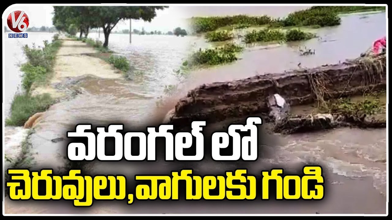 Lakes Breaches Due To Huge Flood Inflow In Warangal | Warangal rains | V6 News