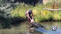 Etats-Unis: Un homme échappe de justesse à la morsure d’un alligator dans le Colorado devant des visiteurs du Colorado Gator Farm - VIDEO