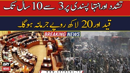 Senate 'drops' bill seeking ban on 'violent, extremist' organisations