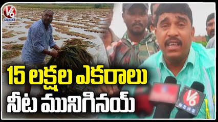 More Than 15 Lakh Acres Crop  Damage Across The State  _ Telangana Rains  _ V6 News