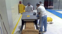 Antalya Büyükşehir Belediyesi'nin Halk Ekmek Fabrikası 1 yılda 9 milyon ekmeği Antalyalılarla buluşturdu