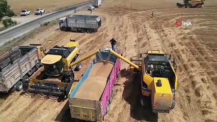 Ankara'nın tahıl ambarında hasat zamanı