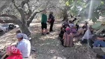 Antakya'da TOKİ'ye direniş: Dikmece'de köylüler, zeytinlik nöbetine devam ediyor